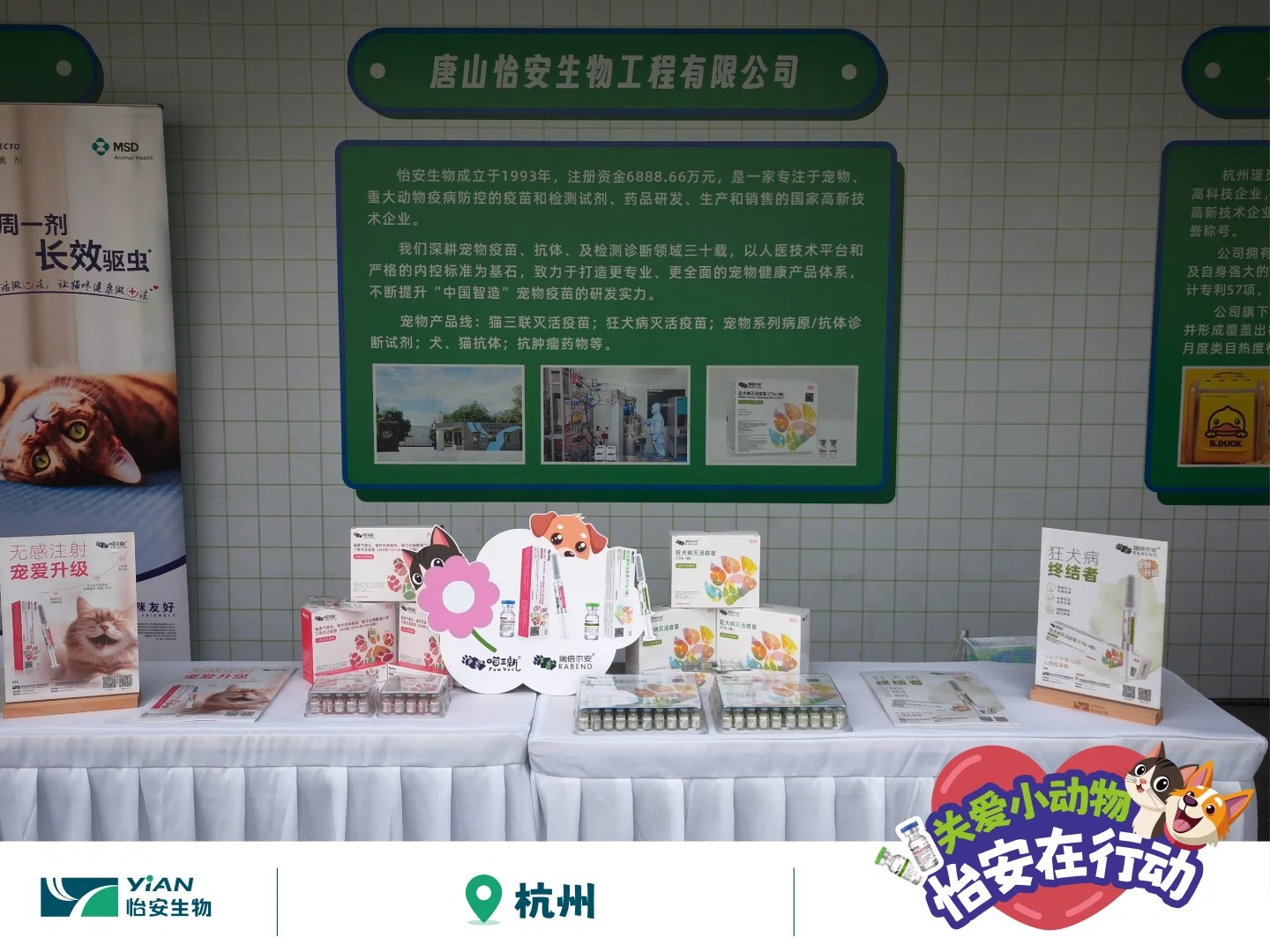 怡安攜狂犬疫苗助力犬風鈴行動，走進浙江_5_怡安生工_來自小紅書網頁版